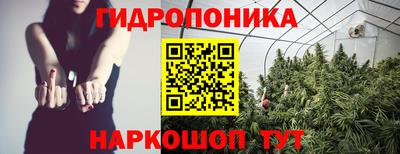 стафф Пенза